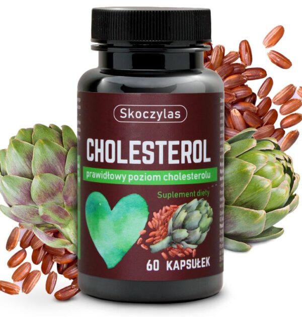 26-cholesterol-owoc-min